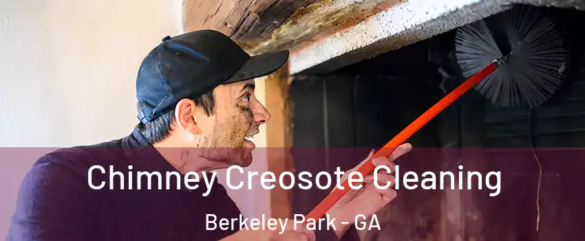Chimney Creosote Cleaning Berkeley Park - GA