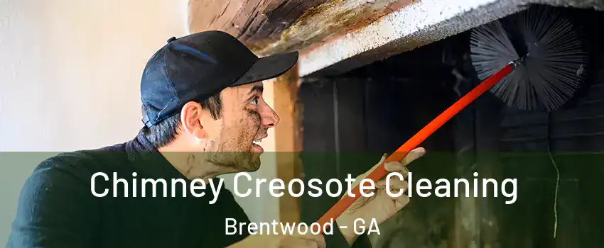 Chimney Creosote Cleaning Brentwood - GA