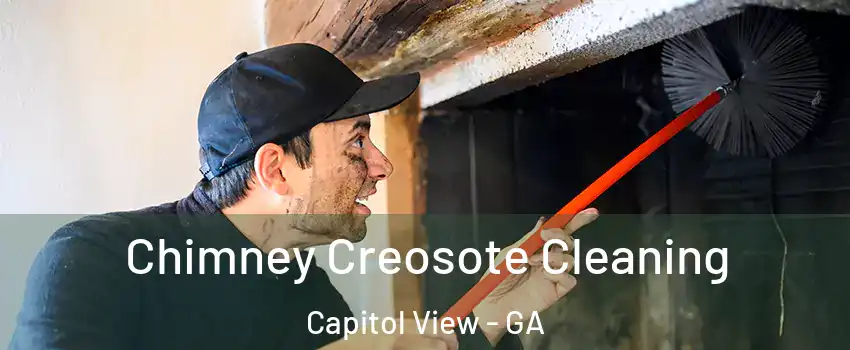 Chimney Creosote Cleaning Capitol View - GA