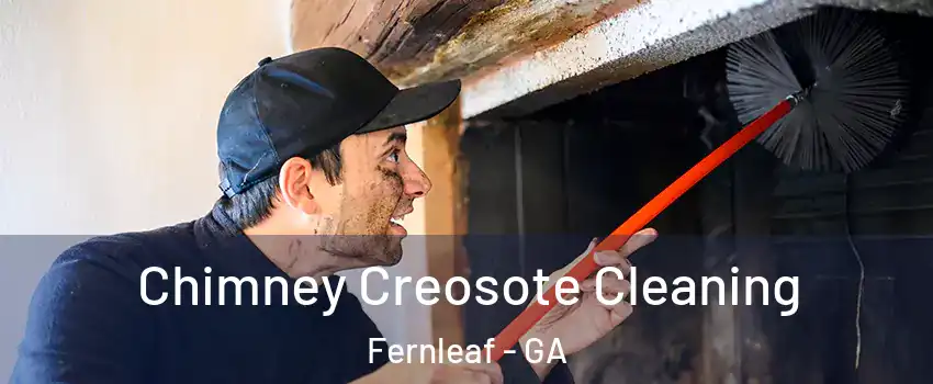 Chimney Creosote Cleaning Fernleaf - GA