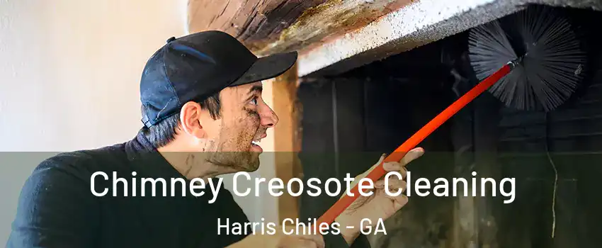 Chimney Creosote Cleaning Harris Chiles - GA