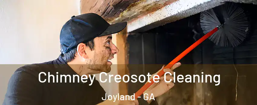 Chimney Creosote Cleaning Joyland - GA