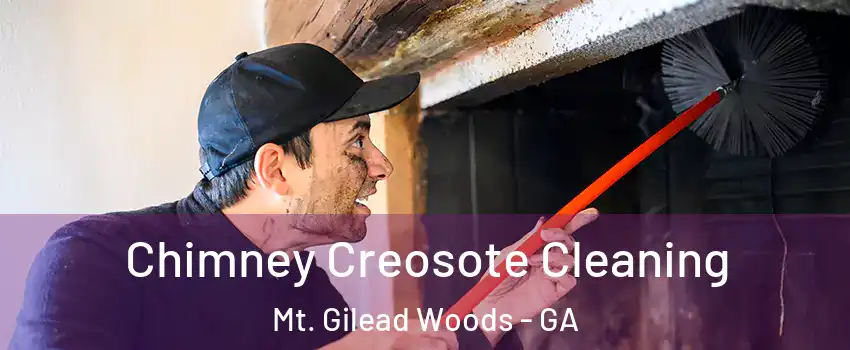 Chimney Creosote Cleaning Mt. Gilead Woods - GA