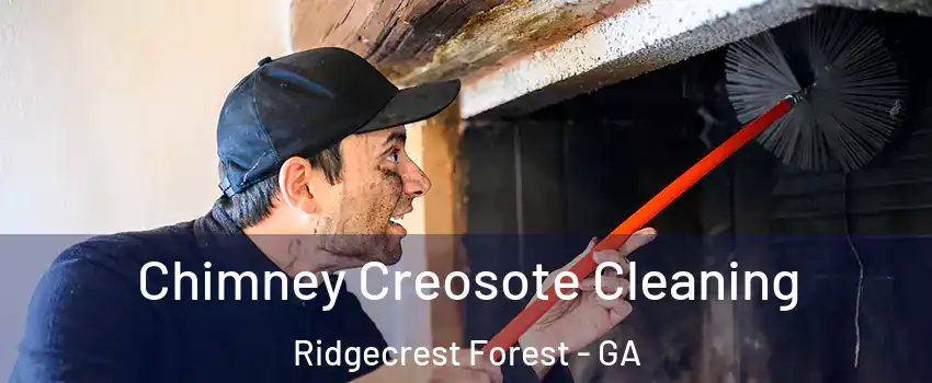 Chimney Creosote Cleaning Ridgecrest Forest - GA