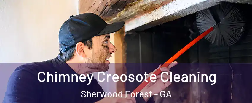 Chimney Creosote Cleaning Sherwood Forest - GA