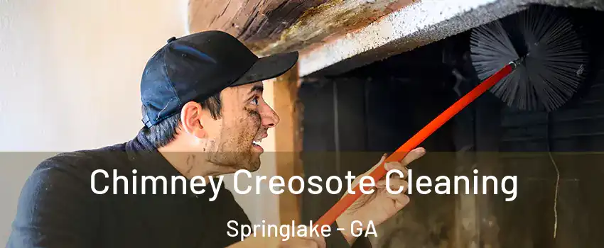 Chimney Creosote Cleaning Springlake - GA