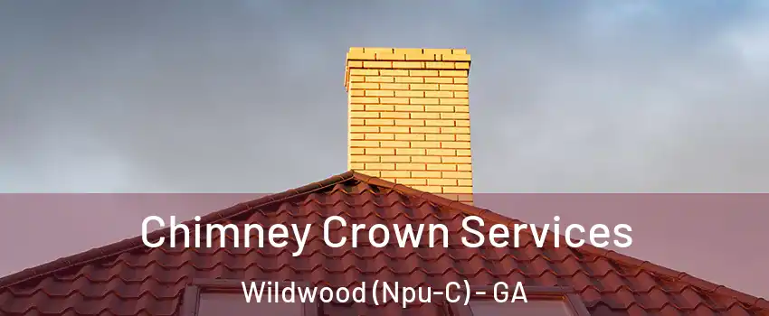Chimney Crown Services Wildwood (Npu-C) - GA