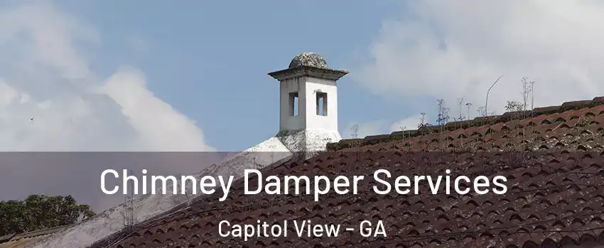 Chimney Damper Services Capitol View - GA