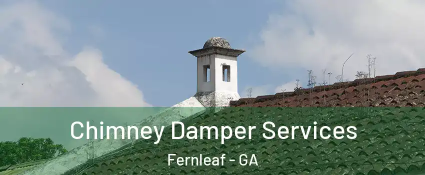 Chimney Damper Services Fernleaf - GA