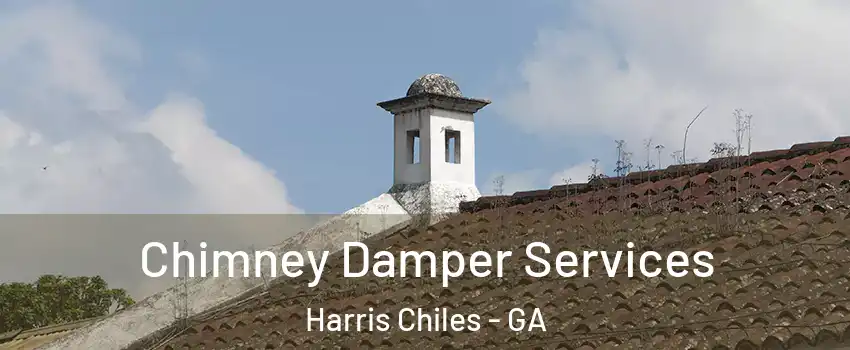 Chimney Damper Services Harris Chiles - GA