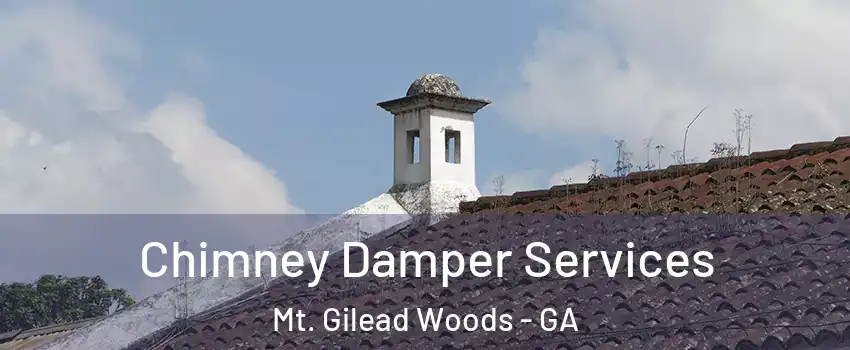 Chimney Damper Services Mt. Gilead Woods - GA