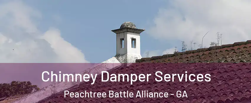 Chimney Damper Services Peachtree Battle Alliance - GA