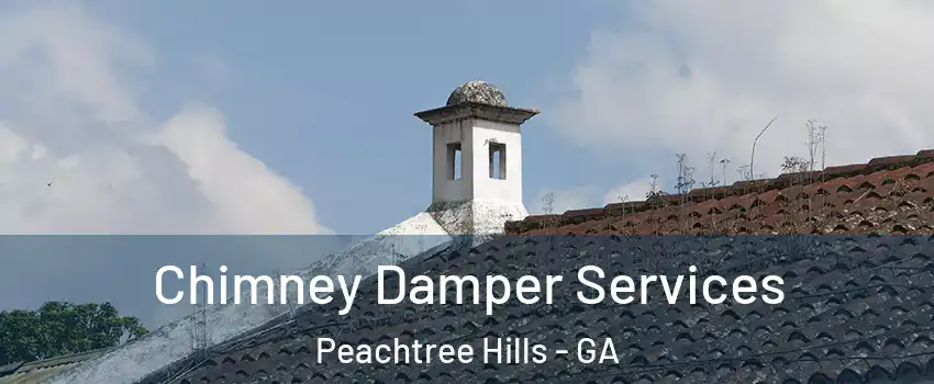 Chimney Damper Services Peachtree Hills - GA