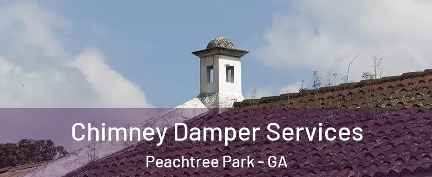 Chimney Damper Services Peachtree Park - GA