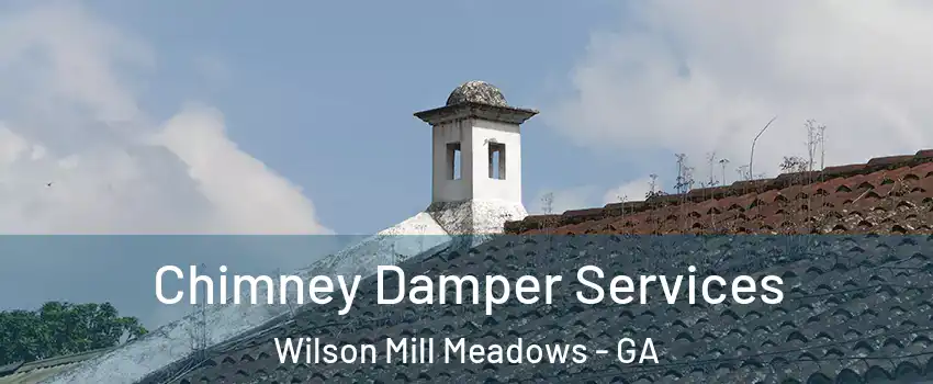 Chimney Damper Services Wilson Mill Meadows - GA