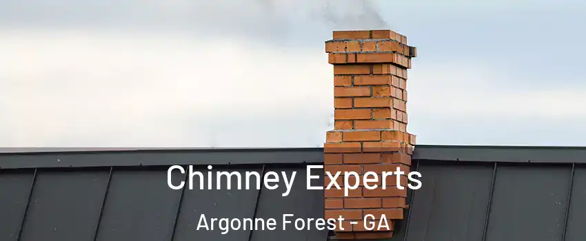 Chimney Experts Argonne Forest - GA