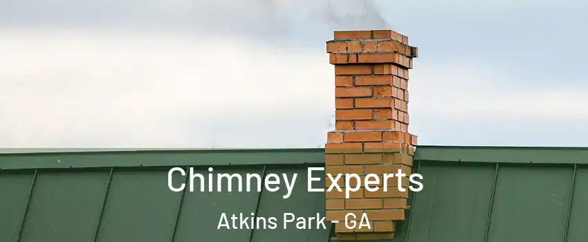 Chimney Experts Atkins Park - GA