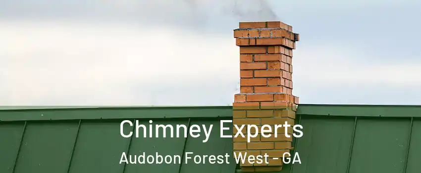 Chimney Experts Audobon Forest West - GA