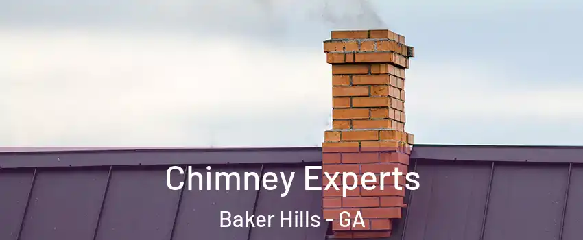 Chimney Experts Baker Hills - GA