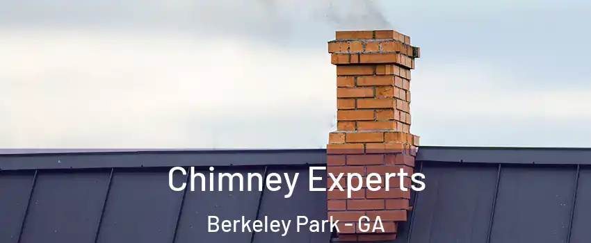 Chimney Experts Berkeley Park - GA