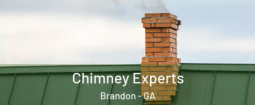 Chimney Experts Brandon - GA