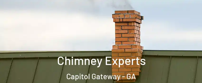 Chimney Experts Capitol Gateway - GA