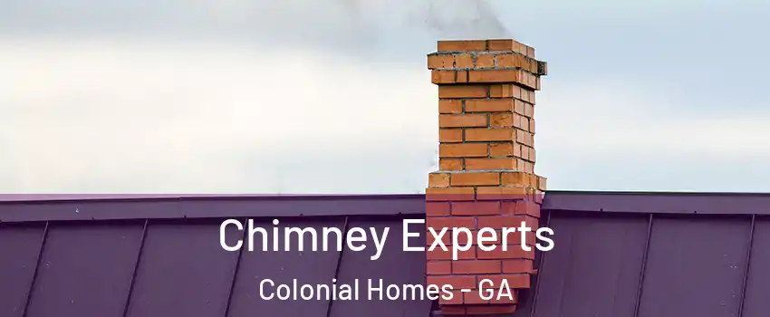 Chimney Experts Colonial Homes - GA