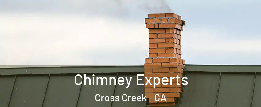 Chimney Experts Cross Creek - GA