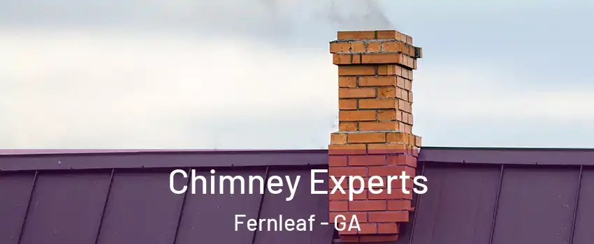Chimney Experts Fernleaf - GA