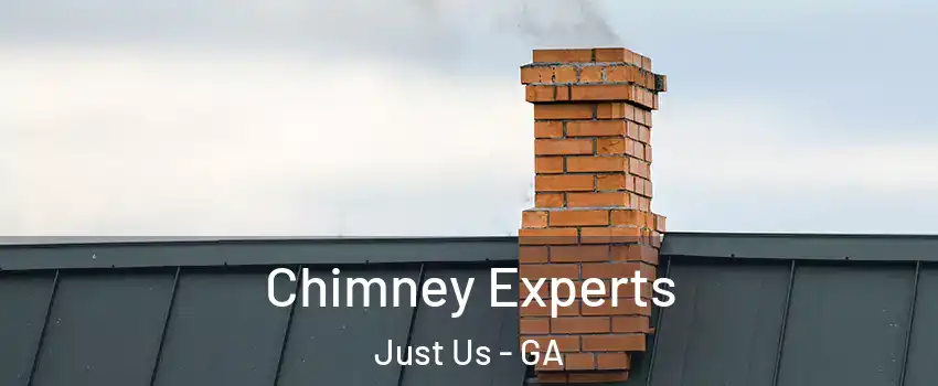 Chimney Experts Just Us - GA