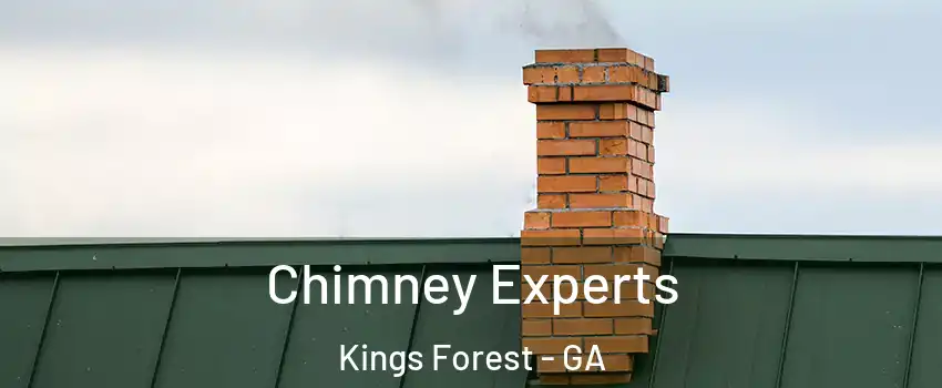 Chimney Experts Kings Forest - GA