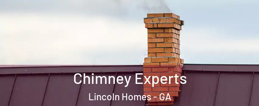 Chimney Experts Lincoln Homes - GA