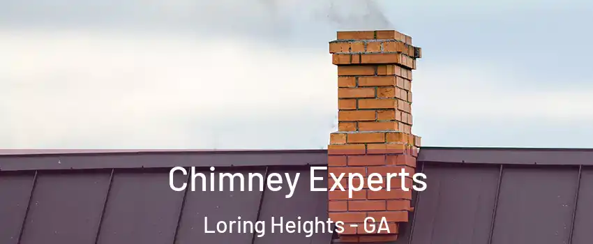 Chimney Experts Loring Heights - GA