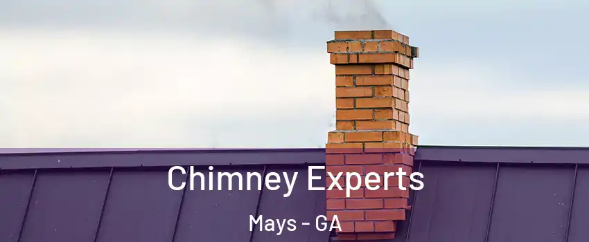 Chimney Experts Mays - GA