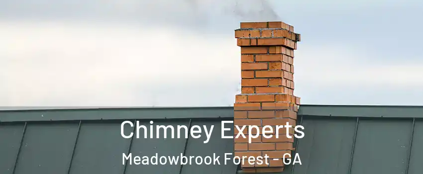 Chimney Experts Meadowbrook Forest - GA