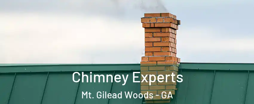 Chimney Experts Mt. Gilead Woods - GA