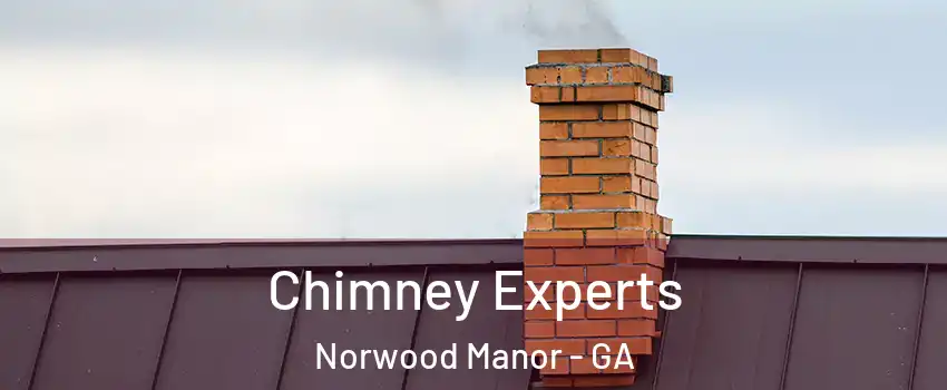 Chimney Experts Norwood Manor - GA