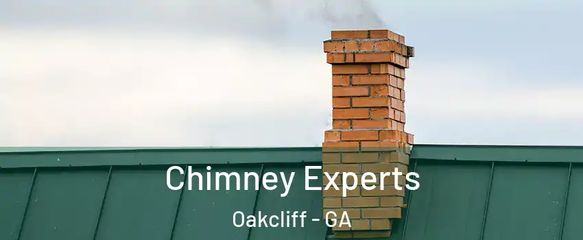 Chimney Experts Oakcliff - GA