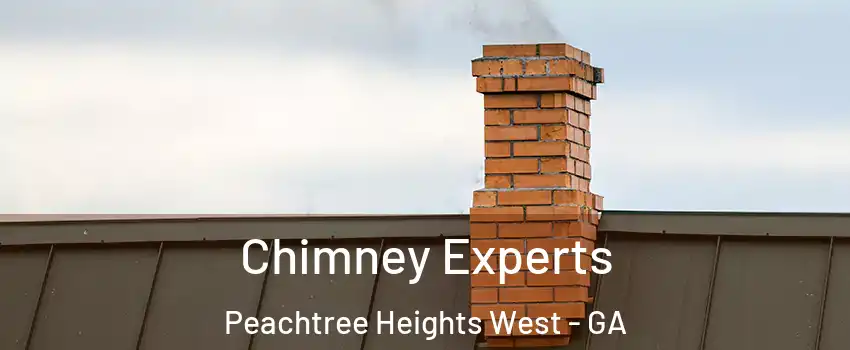 Chimney Experts Peachtree Heights West - GA
