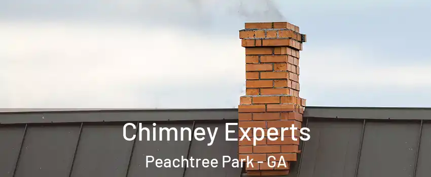 Chimney Experts Peachtree Park - GA