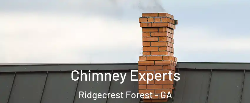 Chimney Experts Ridgecrest Forest - GA