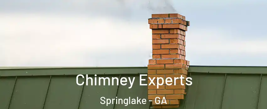 Chimney Experts Springlake - GA