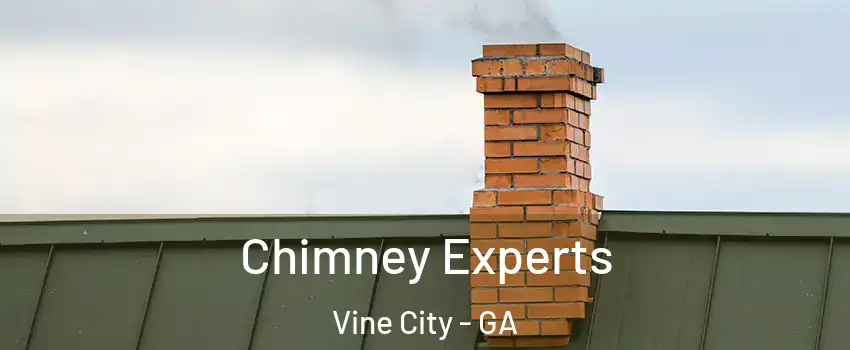 Chimney Experts Vine City - GA