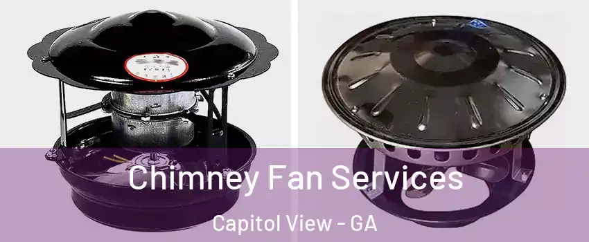 Chimney Fan Services Capitol View - GA