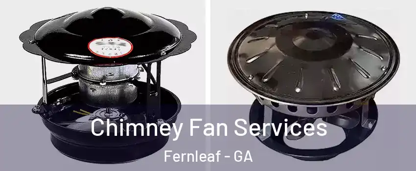 Chimney Fan Services Fernleaf - GA