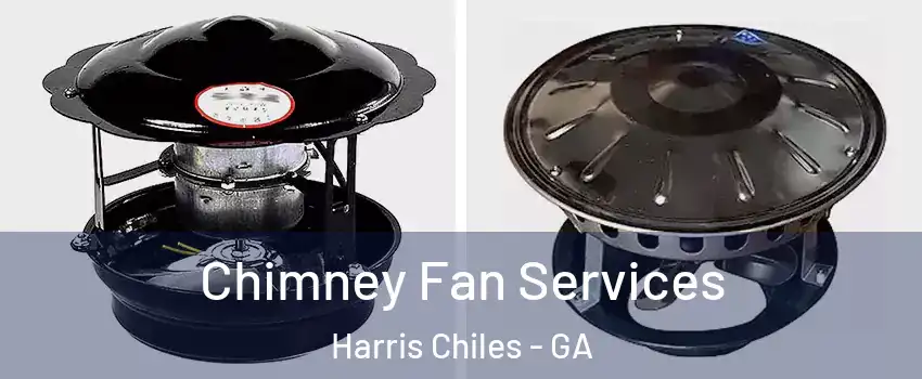 Chimney Fan Services Harris Chiles - GA
