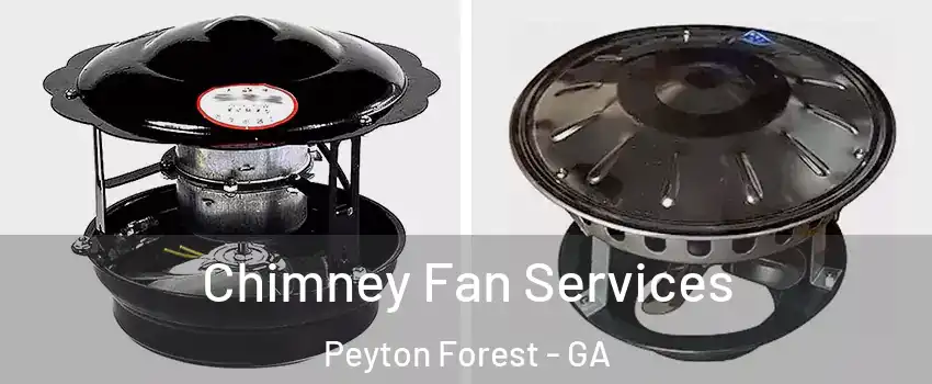 Chimney Fan Services Peyton Forest - GA