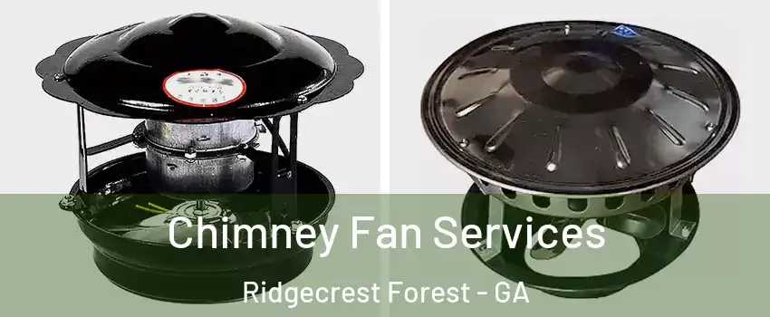 Chimney Fan Services Ridgecrest Forest - GA