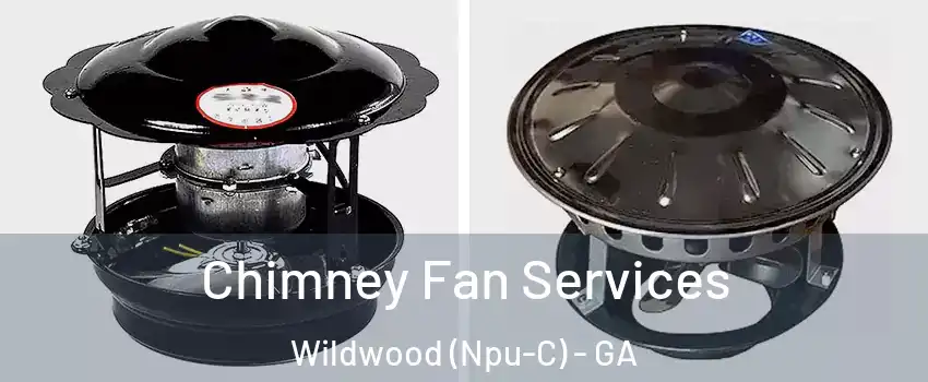 Chimney Fan Services Wildwood (Npu-C) - GA