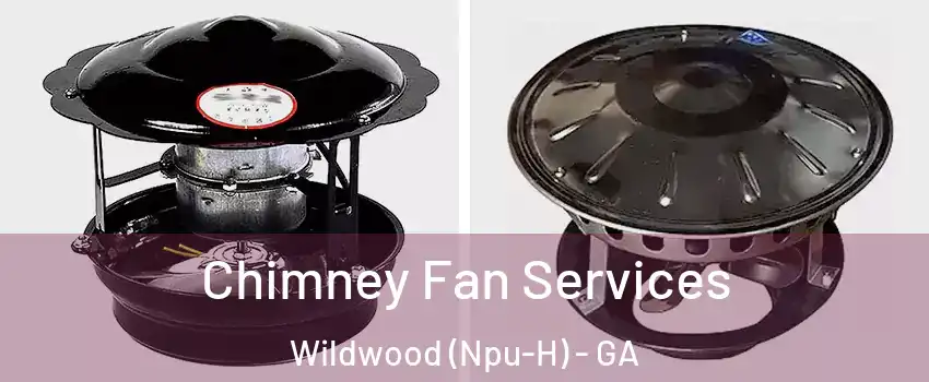 Chimney Fan Services Wildwood (Npu-H) - GA